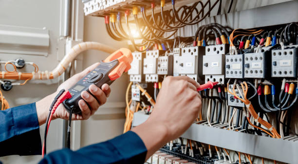 Best Electric Panel Repair  in , MI