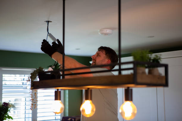 Best Electrical System Inspection  in , MI